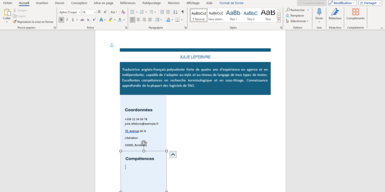 CV Word avec zones de texte