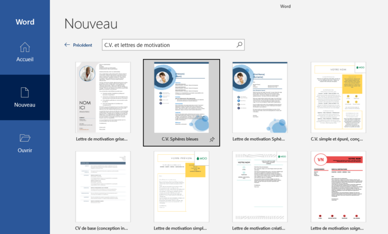 sélection de modèles de CV Word à remplir